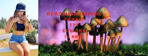mdpv Абдулино