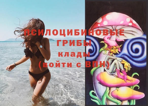 мяу мяу мука Абаза