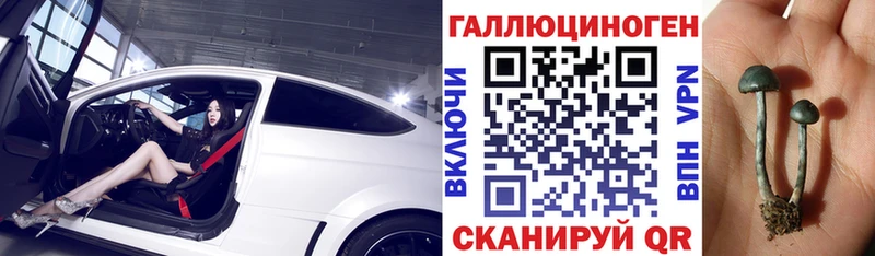 Псилоцибиновые грибы Psilocybe Торжок
